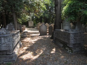 IMG_1179